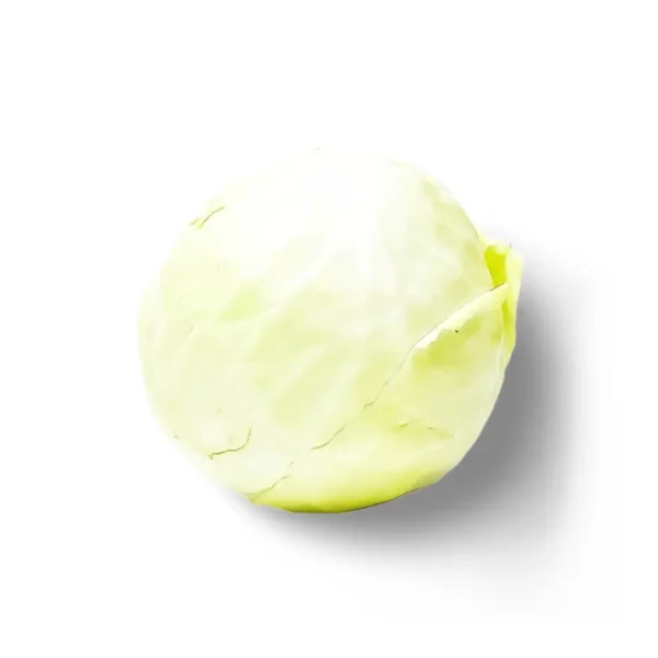 White Cabbage